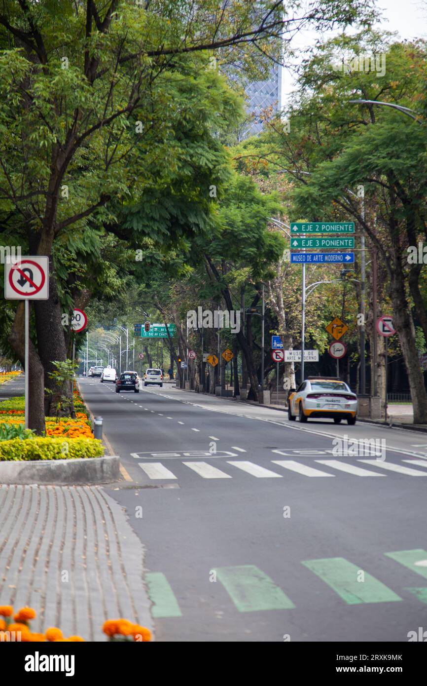Avenida Reforma Through Chapultepec Park in Mexico City, Mexico Stock Photo