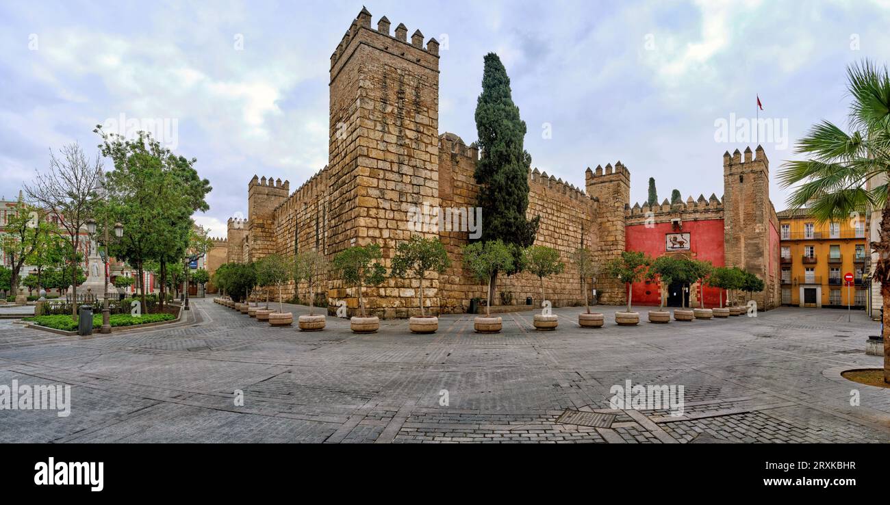 Potted trees outside Royal Alcazar of Seville, Seville, Andalusia, Spain Stock Photo