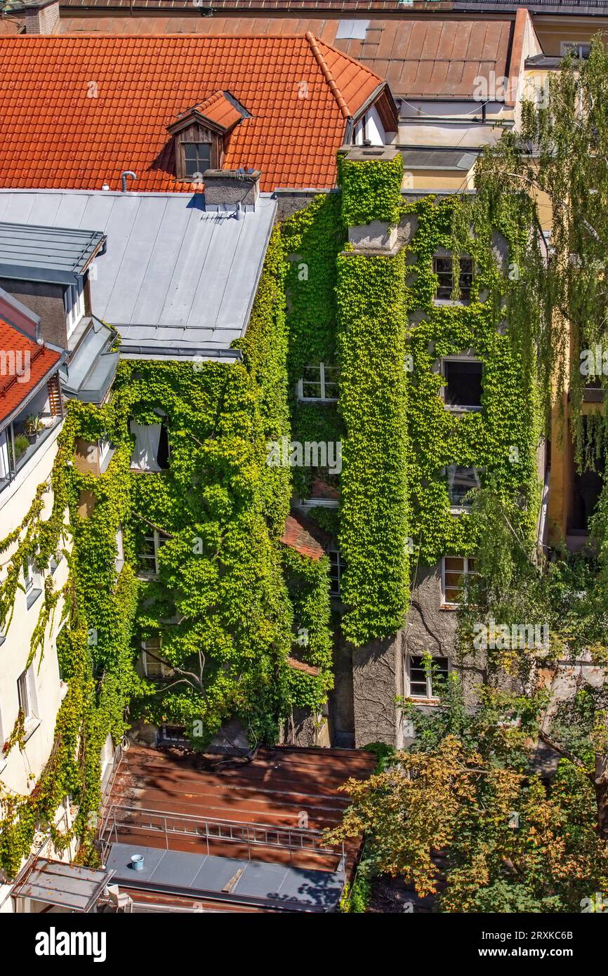 View of the green builing in Innsbruck, Austria Stock Photo