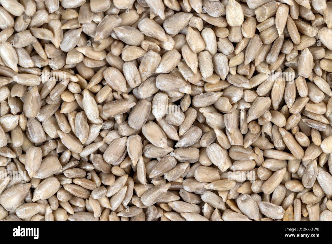 Sunflower seeds peeled from the black shell, scattered sunflower seeds