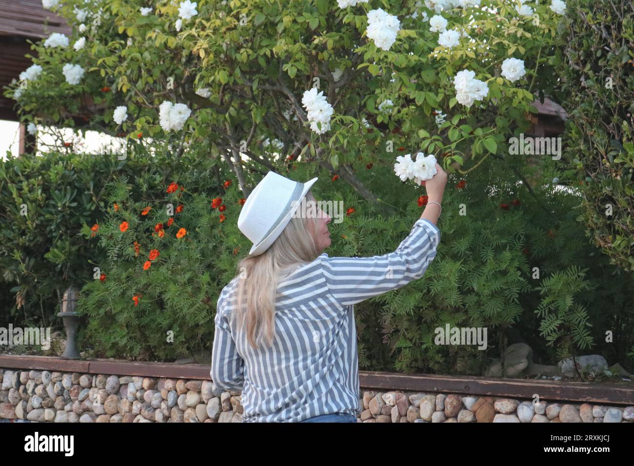 Modern woman with hat hi-res stock photography and images - Alamy