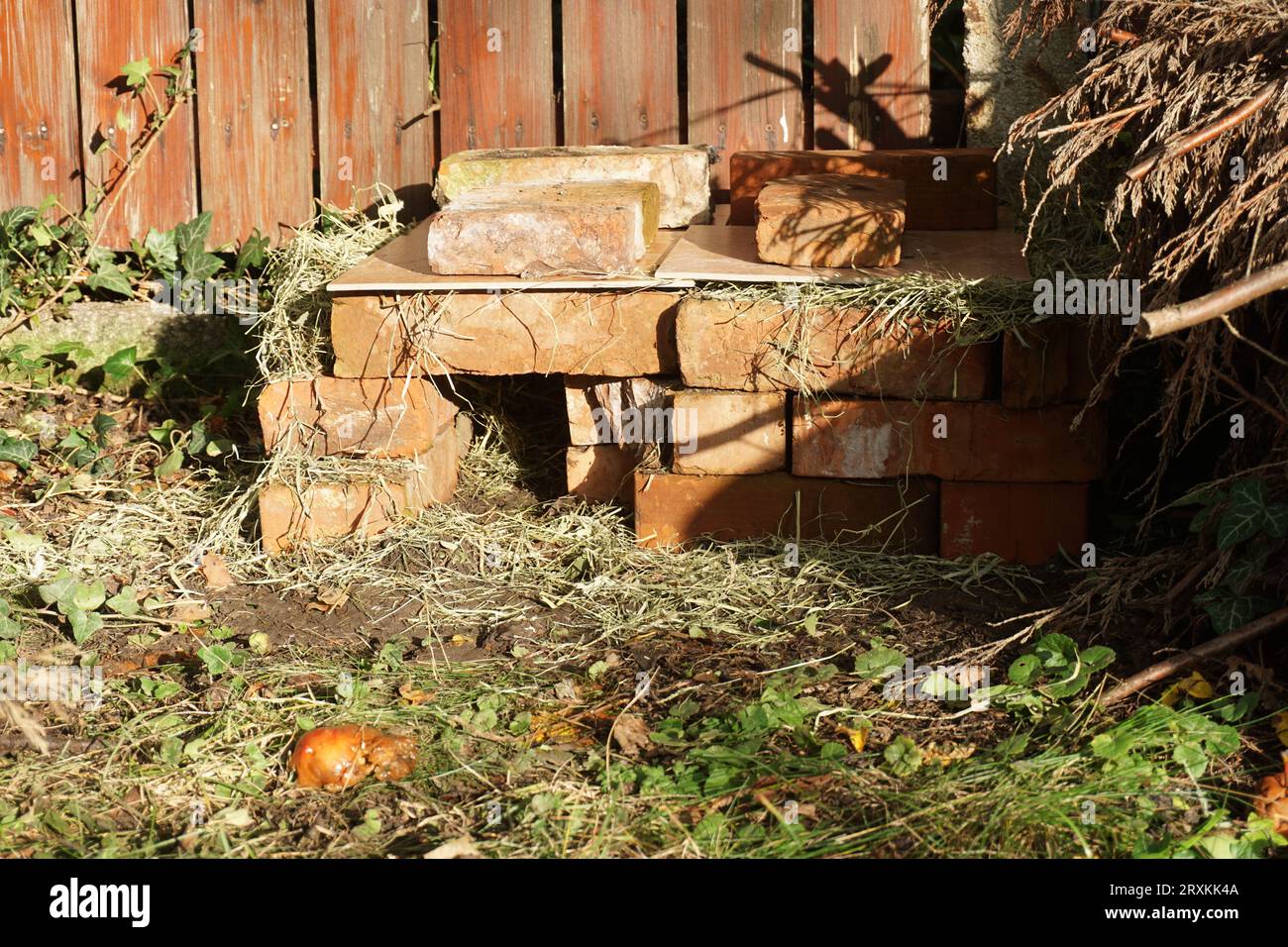Hedgehog house with bricks hires stock photography and images Alamy