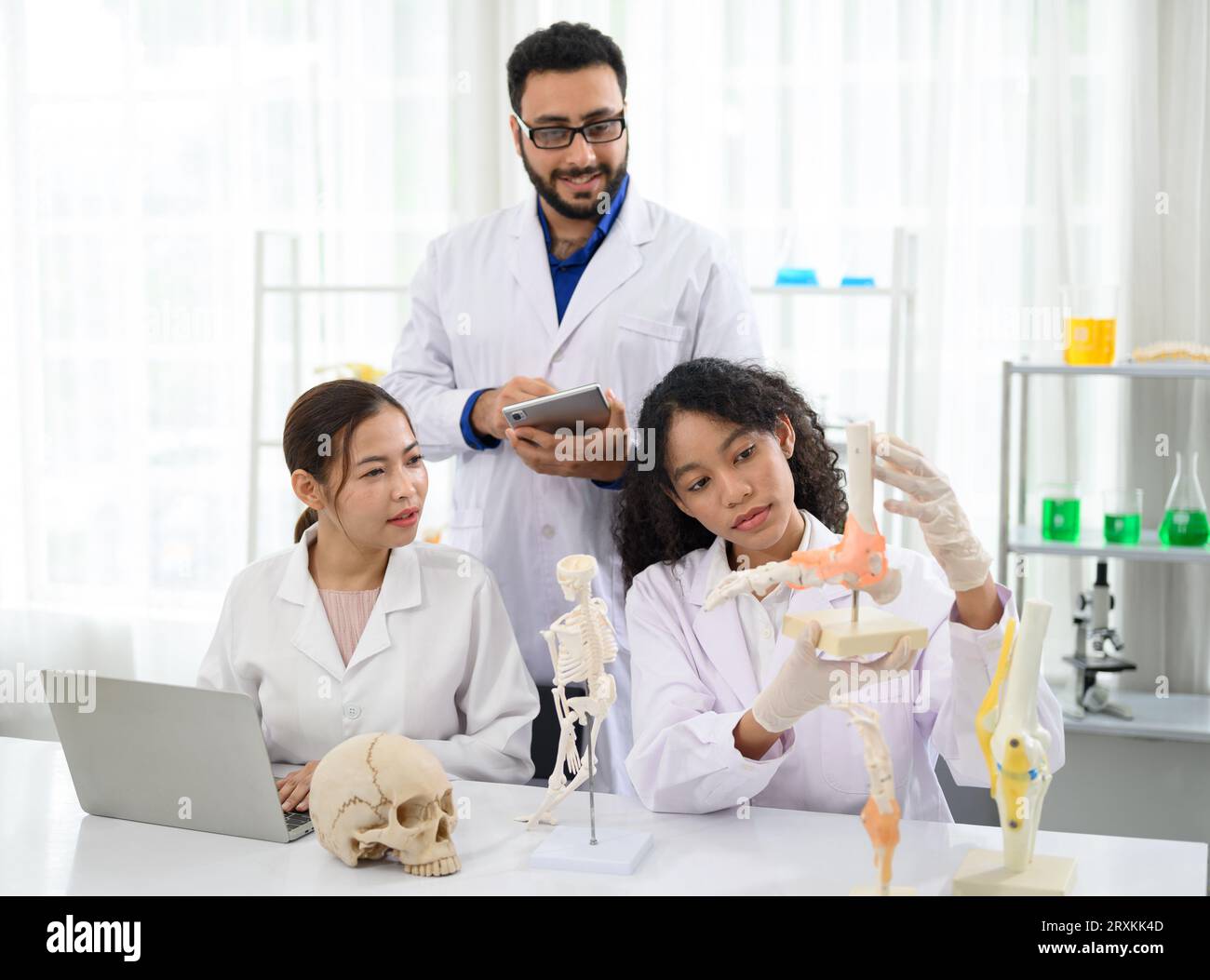 Scientist team study and research about feet model anatomy Stock Photo