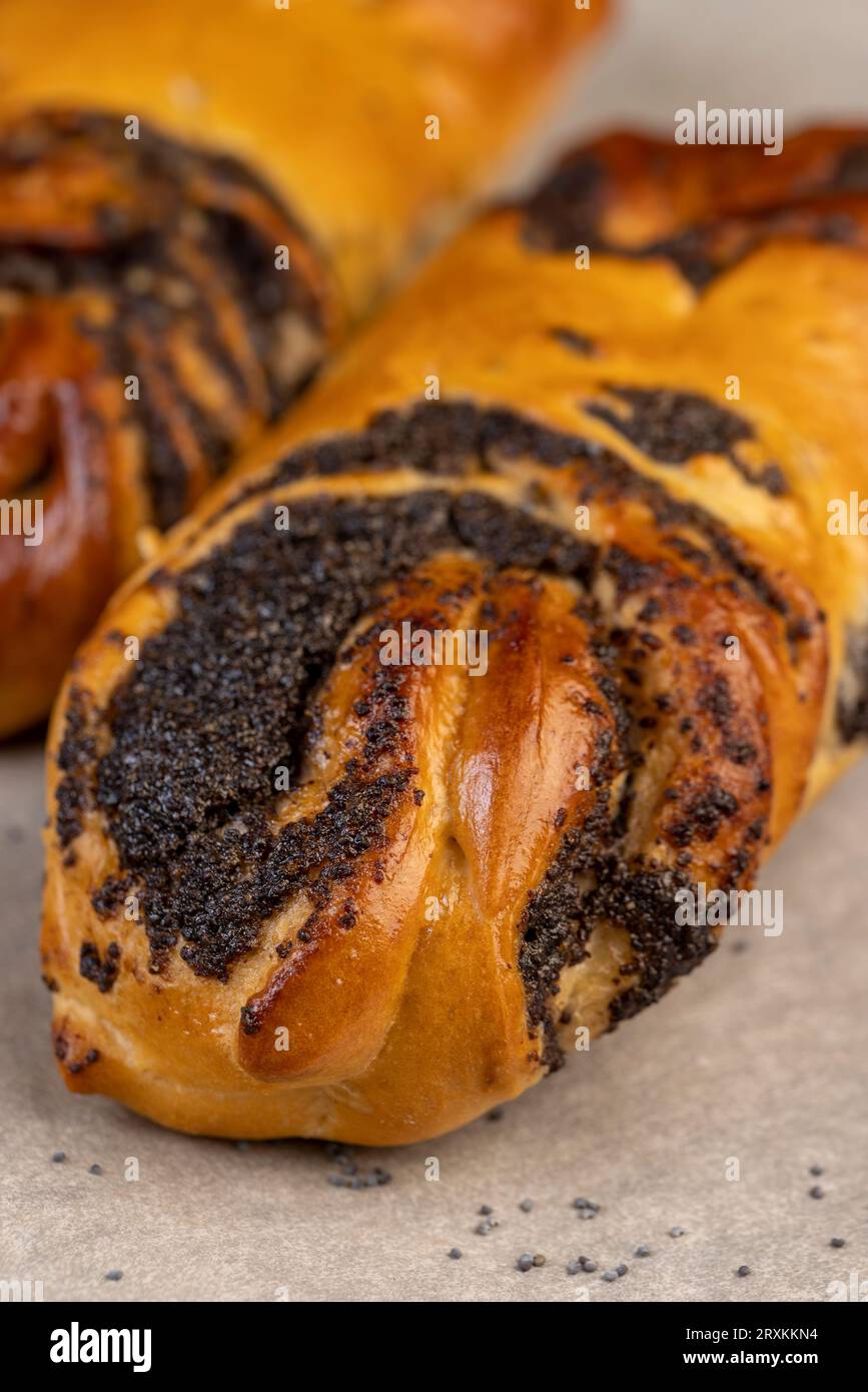Wheat bun with poppy seed filling, a large amount of sweet poppy seed