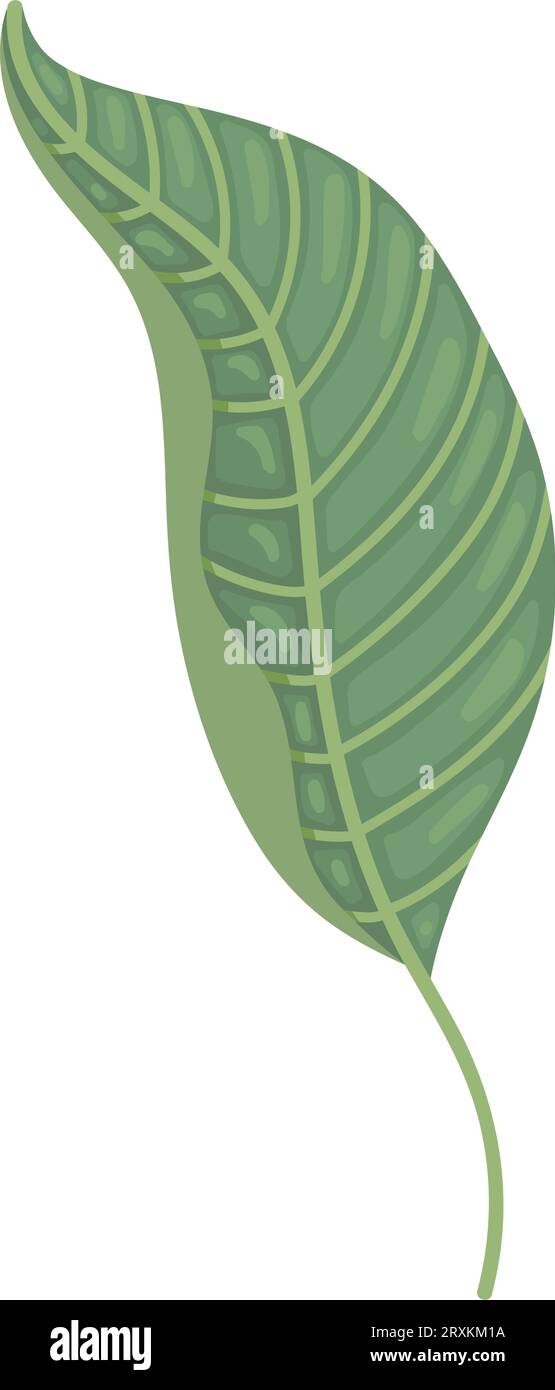 exotic leaf plant nature Stock Vector Image & Art - Alamy