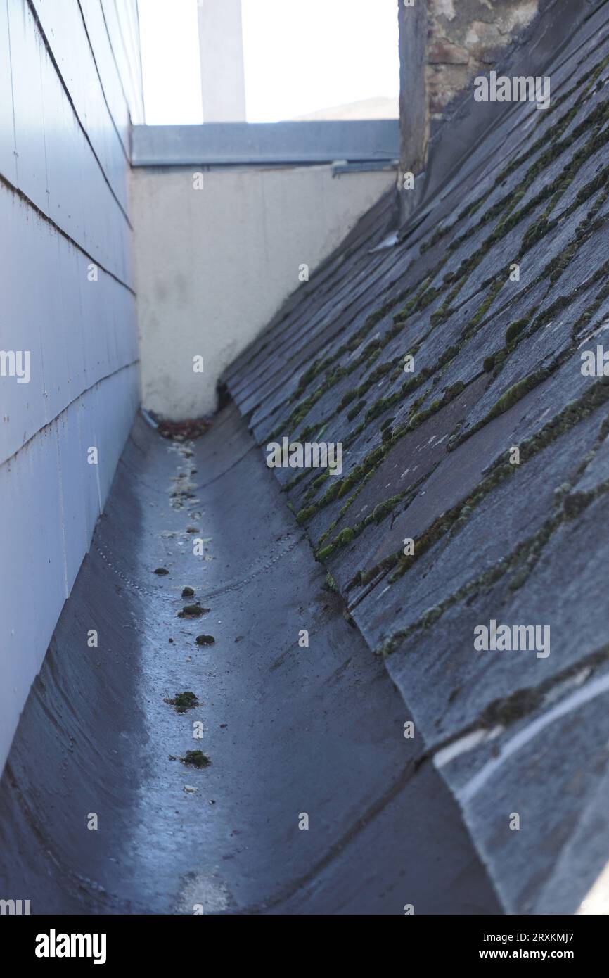 Gutter with old roof shingles Stock Photo