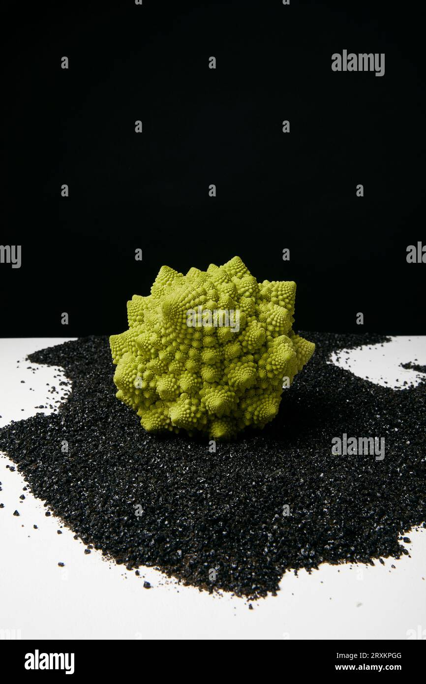 Romanesco cauliflower on black sand Stock Photo