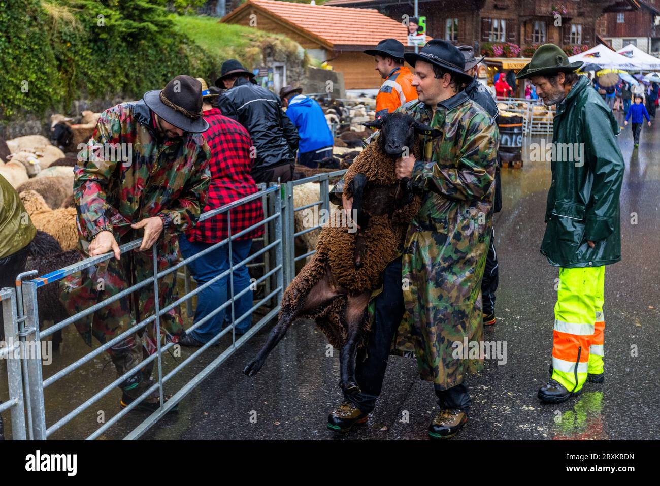 Schafscheid is the celebration after the departure of the sheep from the summer stay on the mountain pasture. It is celebrated every year on a Monday in September in Jaun, Switzerland Stock Photo