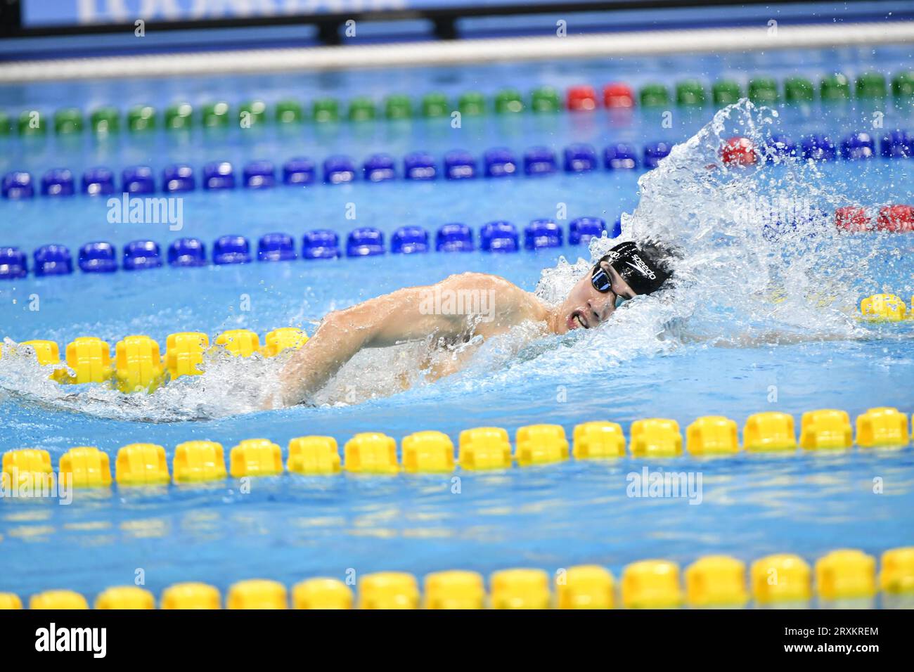 South Korea wins the gold medal at men's 4x200m freestyle relay in Hangzhou City, east China's Zhejiang Province, 25 September, 2023. Stock Photo
