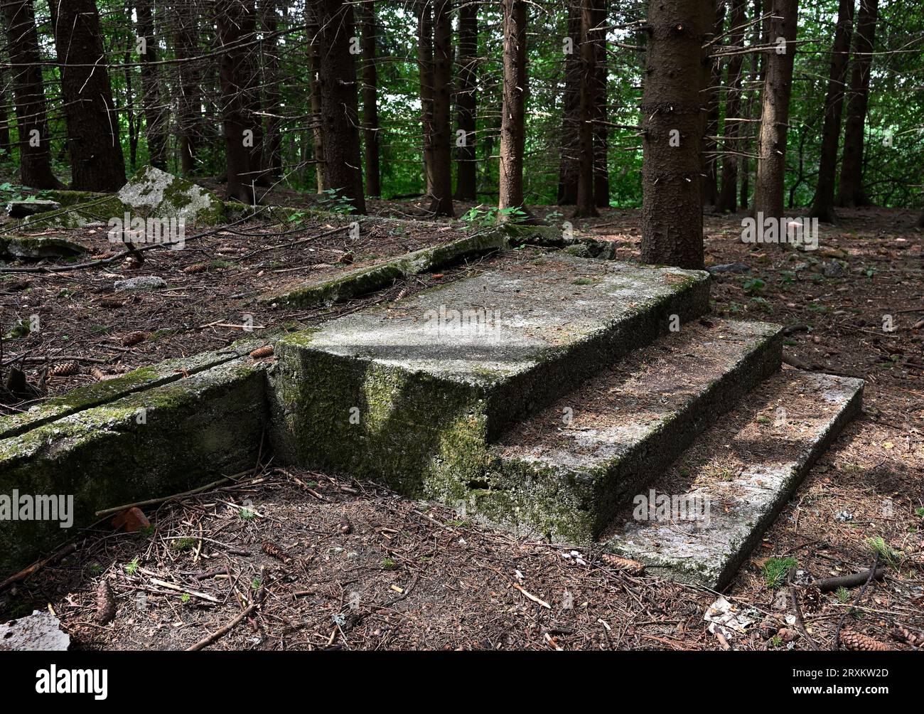 concrete foundation and porch of a ruined house in a spruce forest Stock Photo