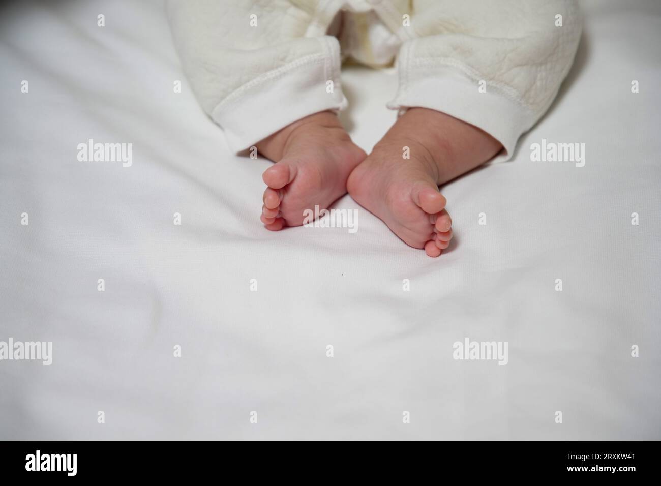 Fat calves and feet of infants Stock Photo Alamy