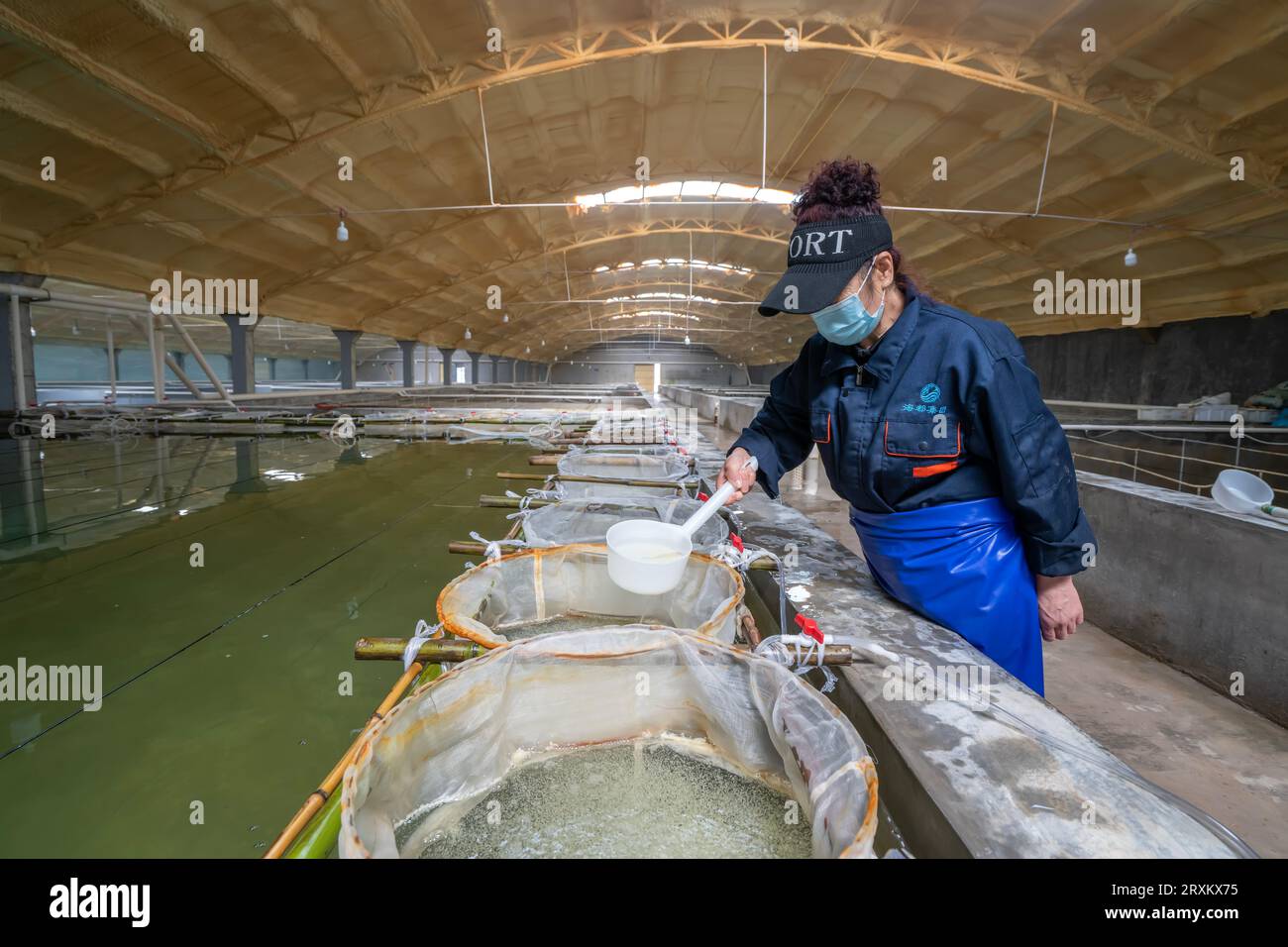 Fish hatching hires stock photography and images Alamy
