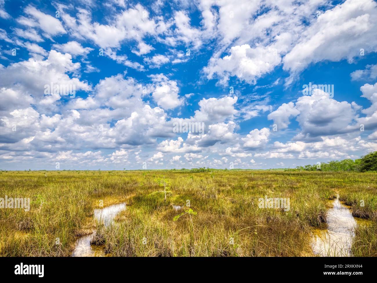 Clouds over sawgrass in Everglades National Park, Florida, USA Stock Photo