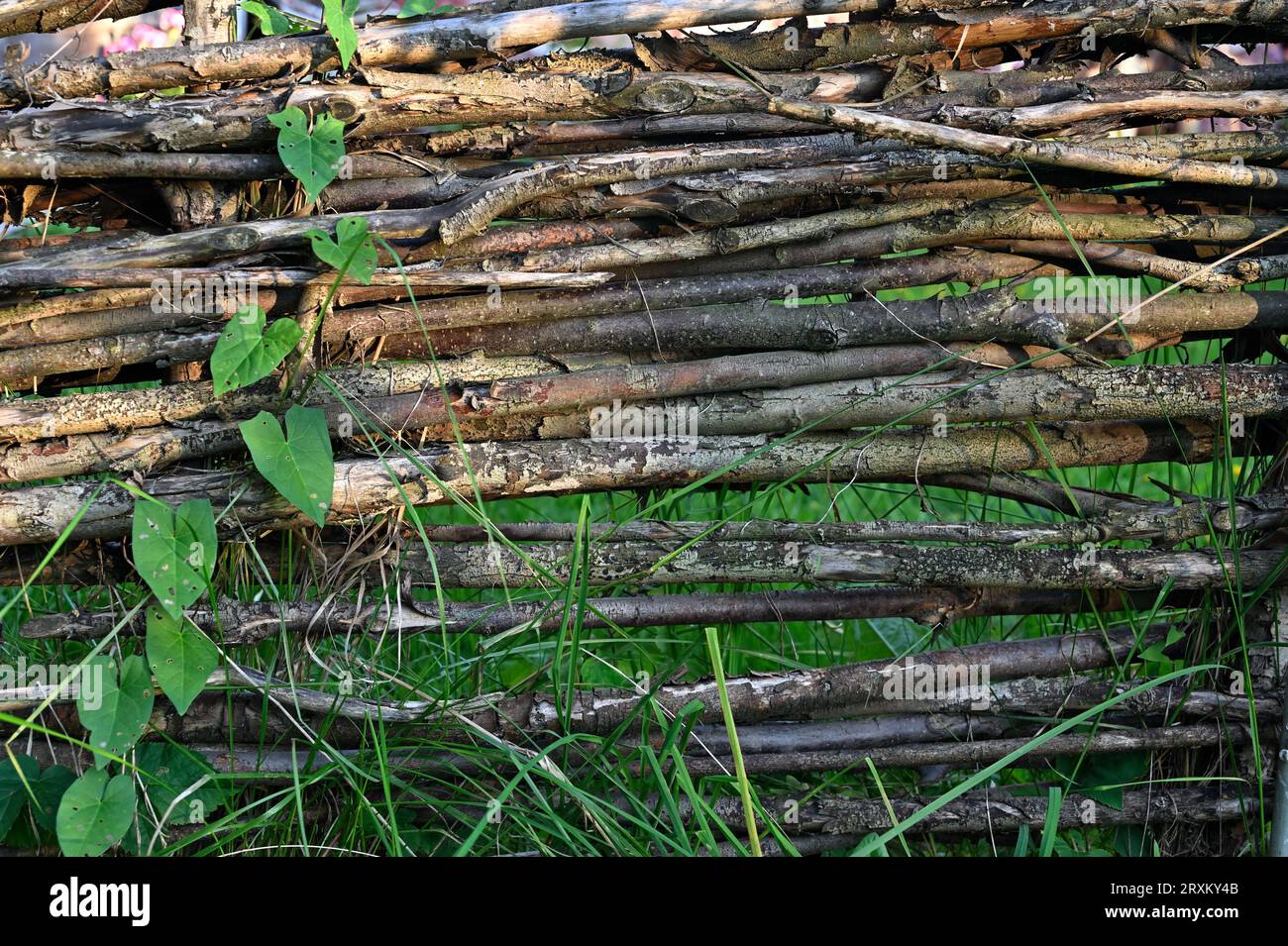 old wattle fence and green wreath, rural scene Stock Photo