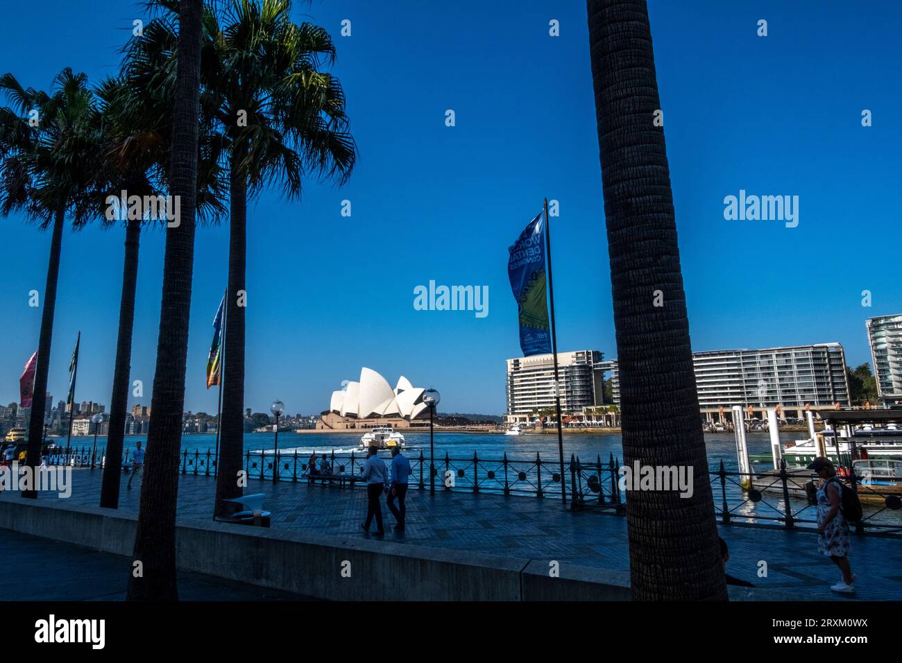 The Opera House on Sydney Harbour, New South Wales, Australia Stock Photo