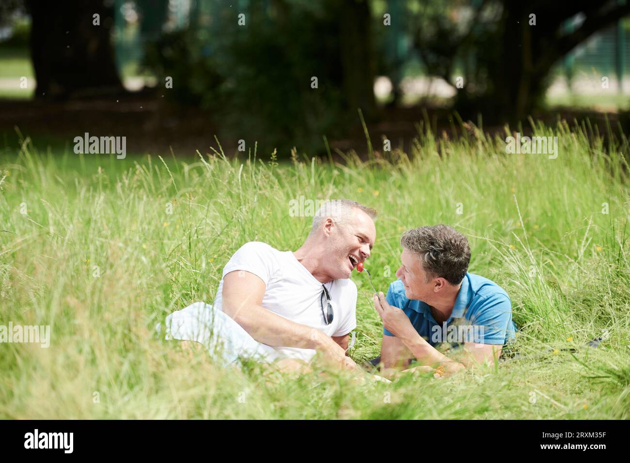 Gay couple having picnic in field Stock Photo