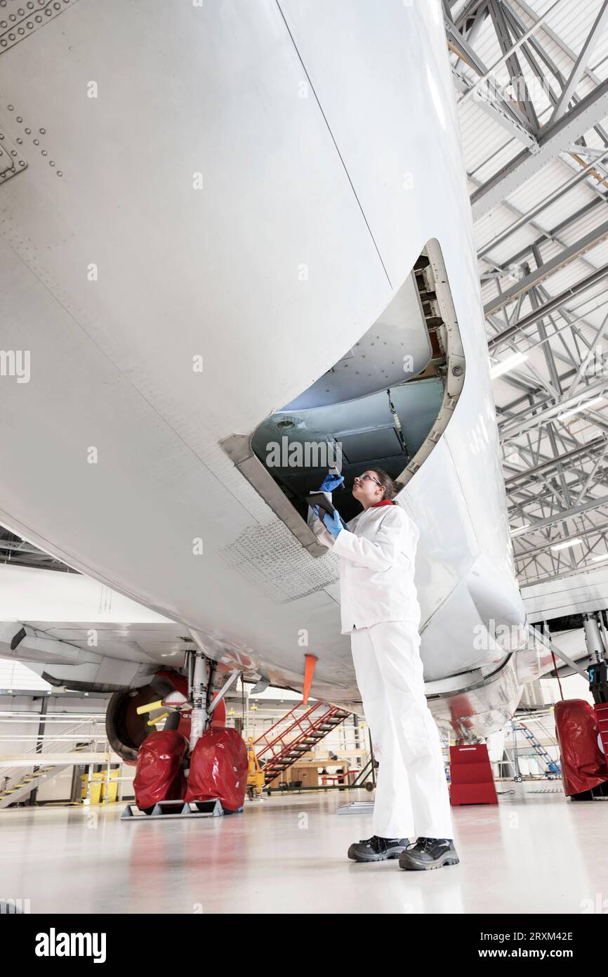 Female worker using torch in airplane doorway Stock Photo Alamy