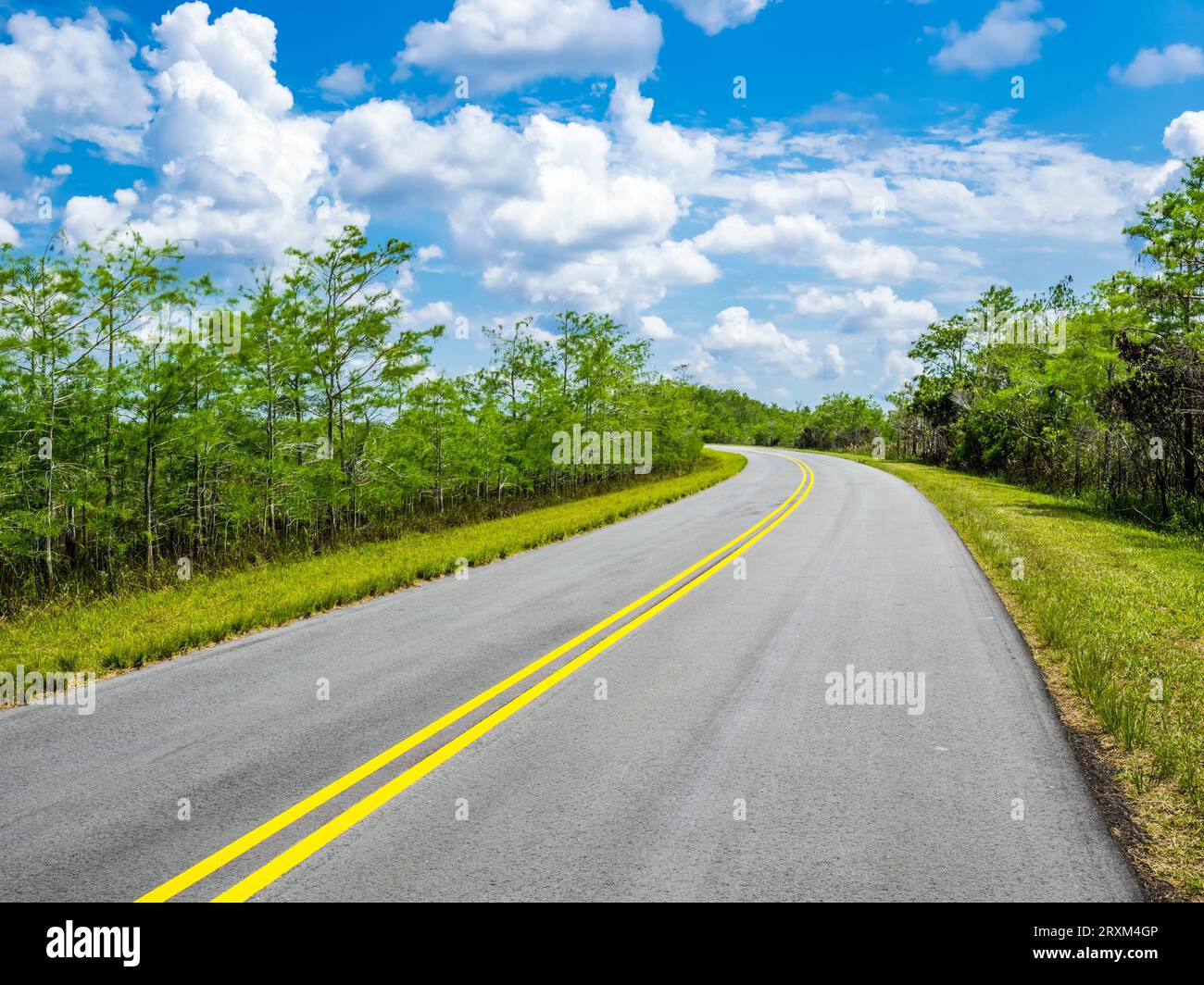 Asphalt road through Pay-Hay-Okee area in Everglades National Park, Florida, USA Stock Photo