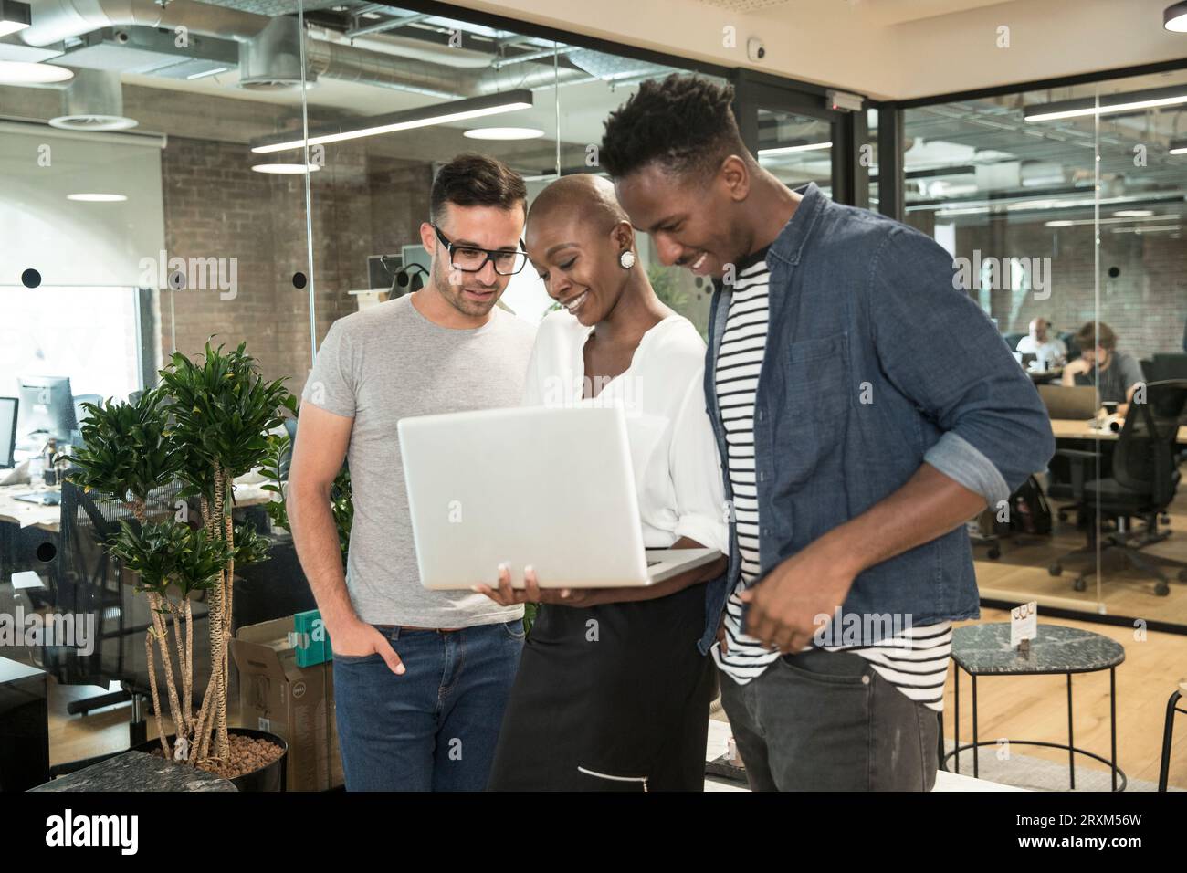 Colleagues using laptop in office Stock Photo