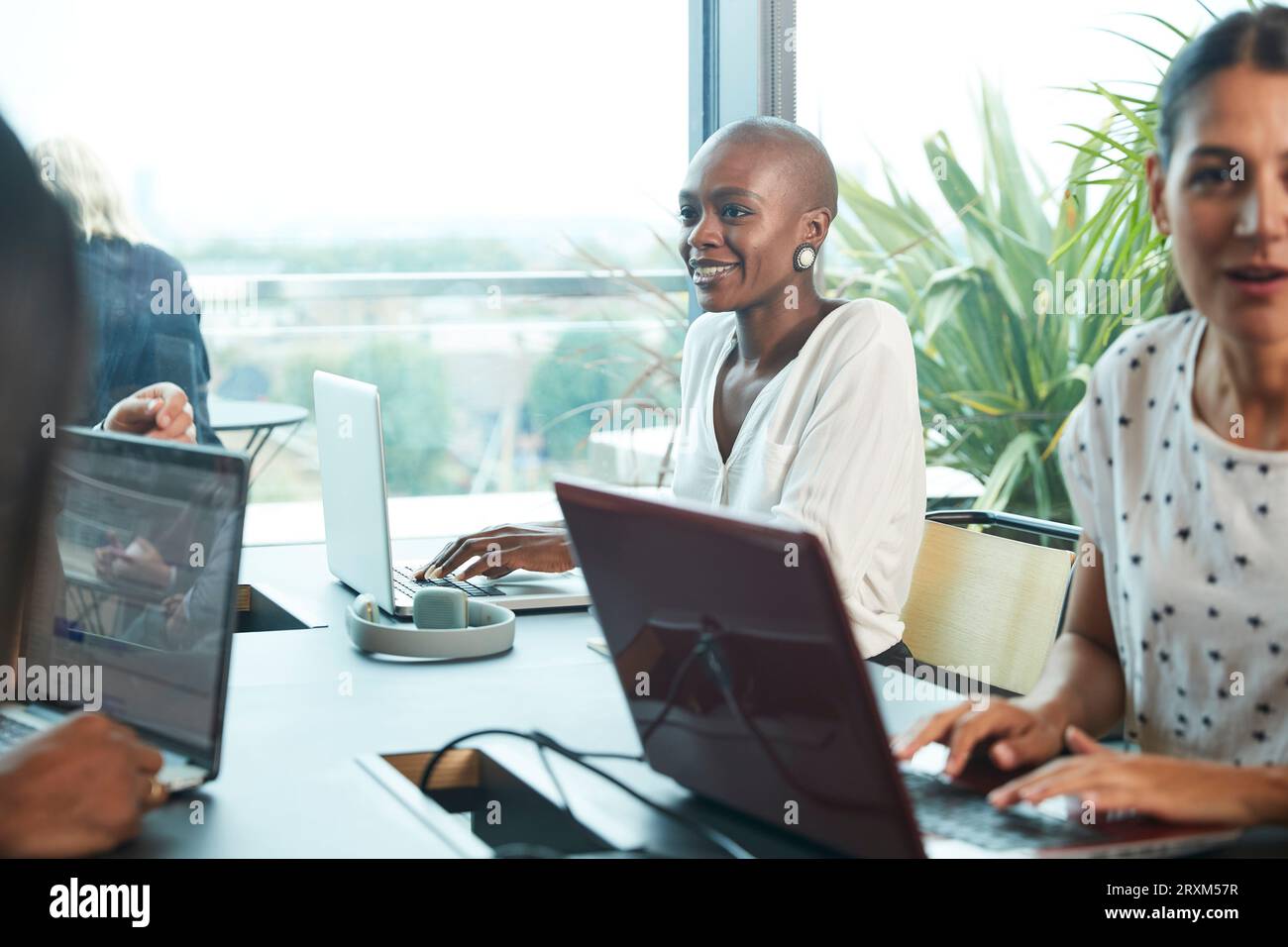 Colleagues using laptops during meeting Stock Photo - Alamy