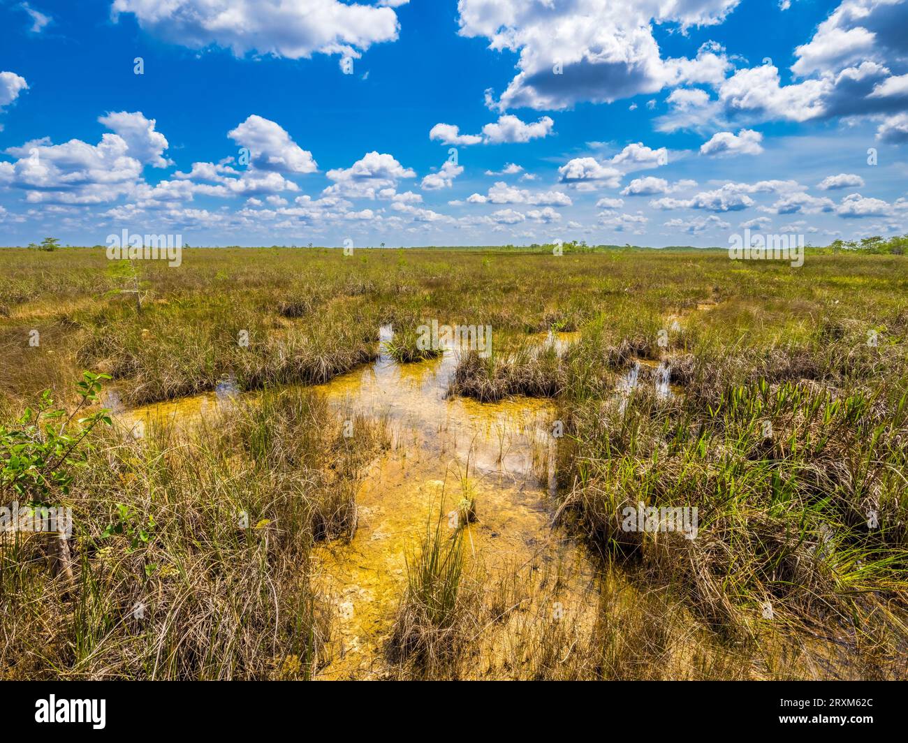 Clouds over sawgrass in Everglades National Park, Florida, USA Stock Photo