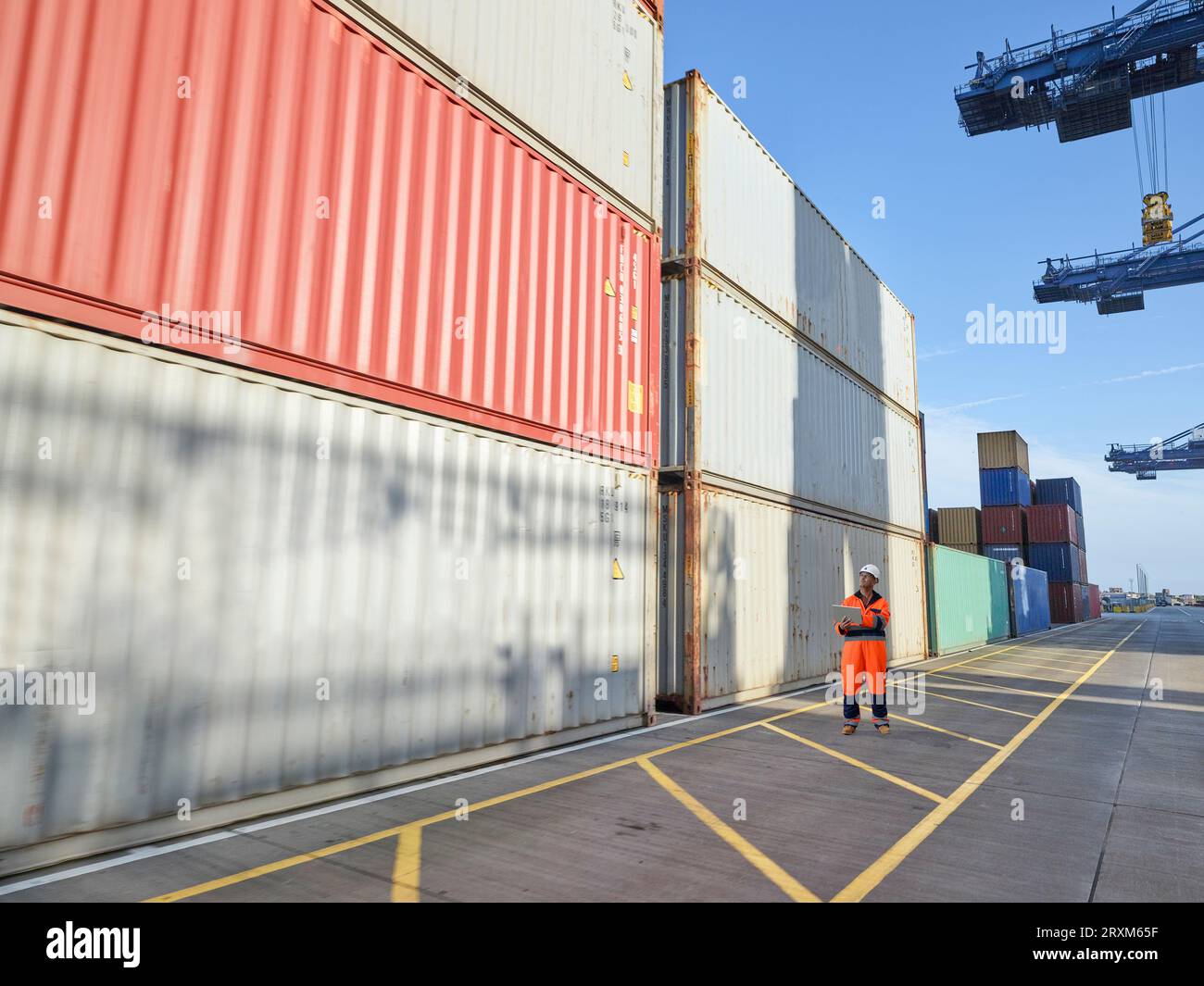 Dock worker with digital tablet Stock Photo