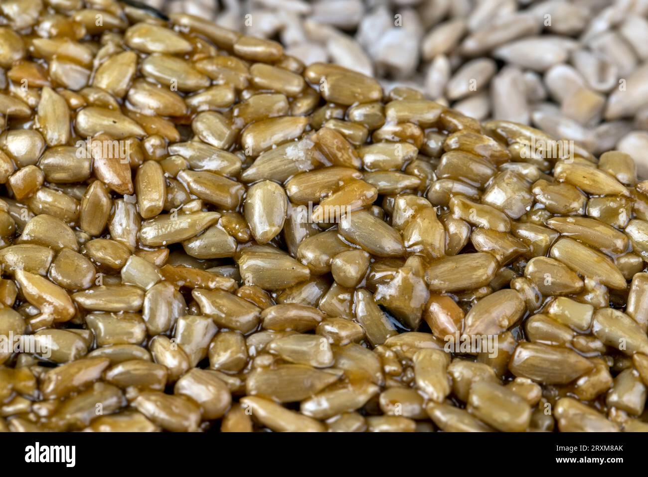 Fried sunflower seeds with sweet molasses from sugar beet, delicious