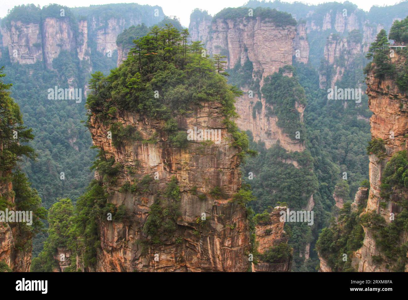 Discover serenity as green grass carpets the majestic long mountains