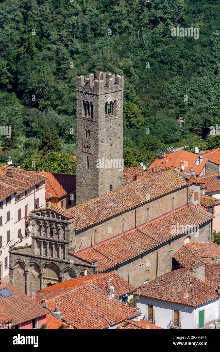 Aerial view of the church of Santa Maria Assunta, Villa Basilica, Lucca, Italy Stock Photo
