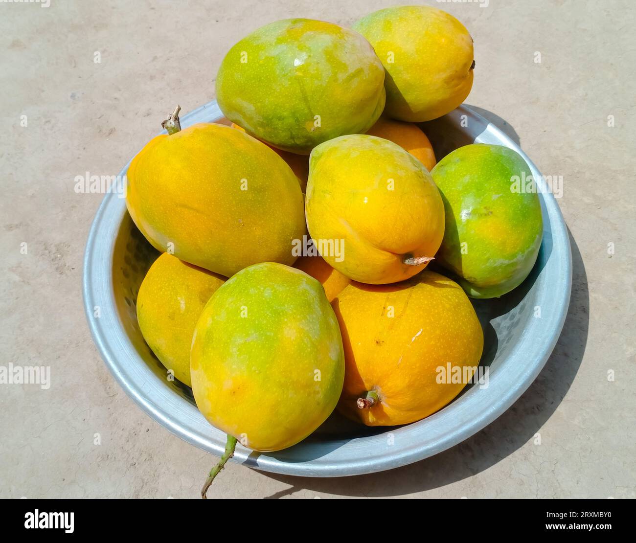 Beautiful riped yellow green mangoes am isolated in tray. Basket full