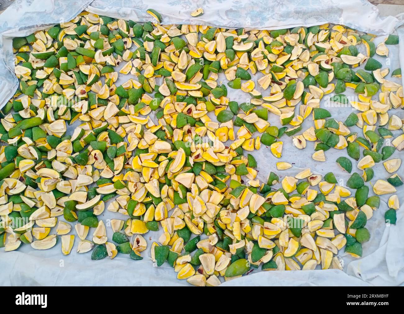 Slices of mangoes drying for pickle. Mangoes slices ready for pickle. Pickle. Mangoes pickle used as food in Pakistan and India. Mangoes slices Stock Photo