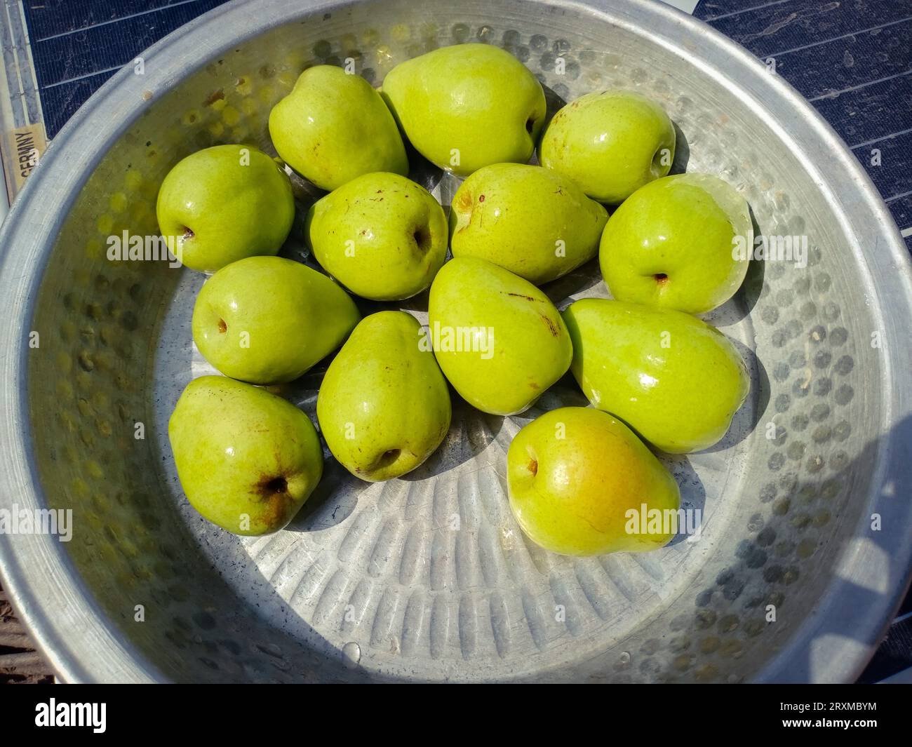 Close up of Pile of sweet Jujubes in pot in sunlight. Fresh ripe jujube after harvesting. Delicious Asian Pakistani jujube fruit. Natural food. Sweet Stock Photo