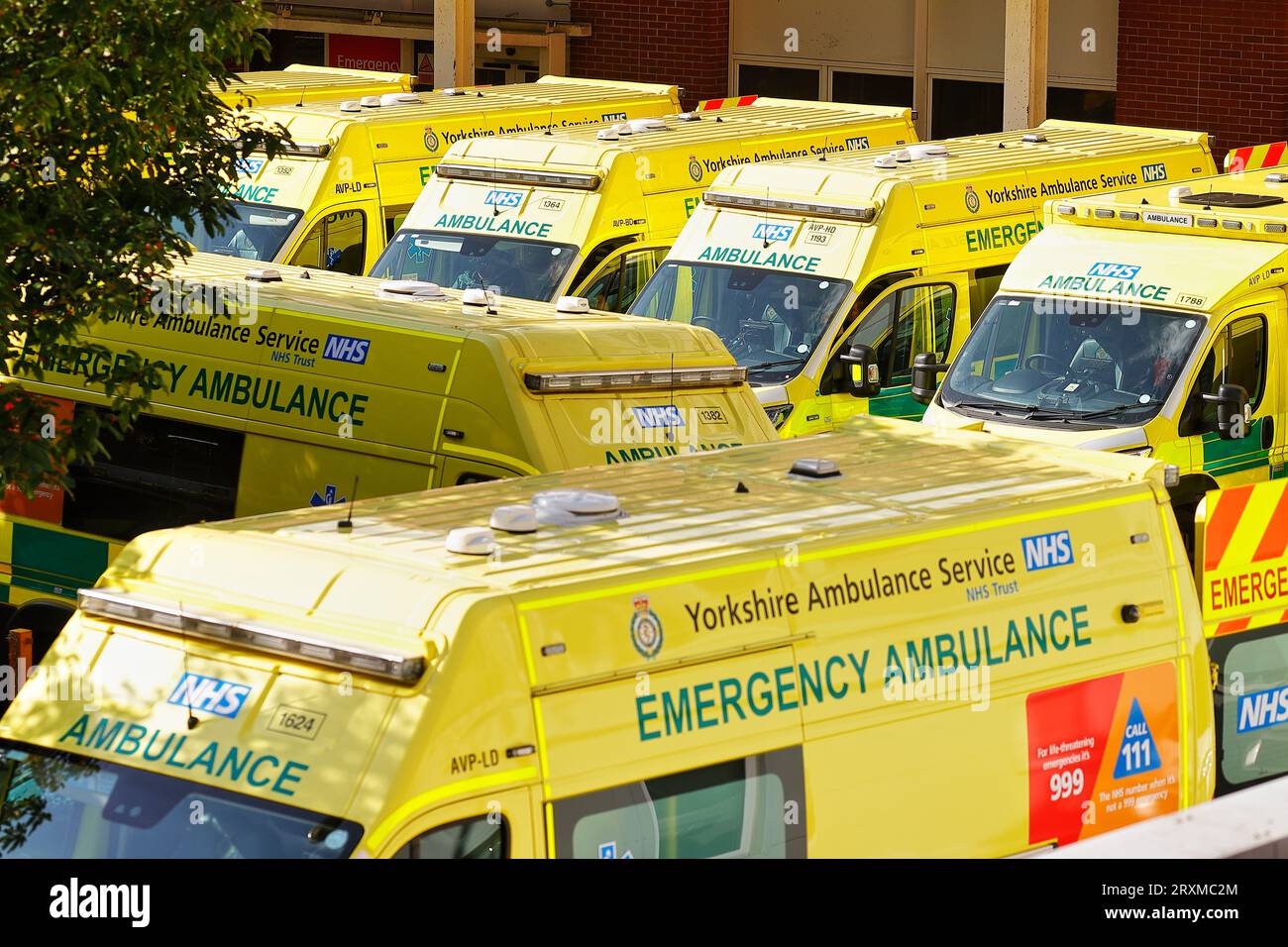 NHS ambulances parked outside the Accident & Emergency department at