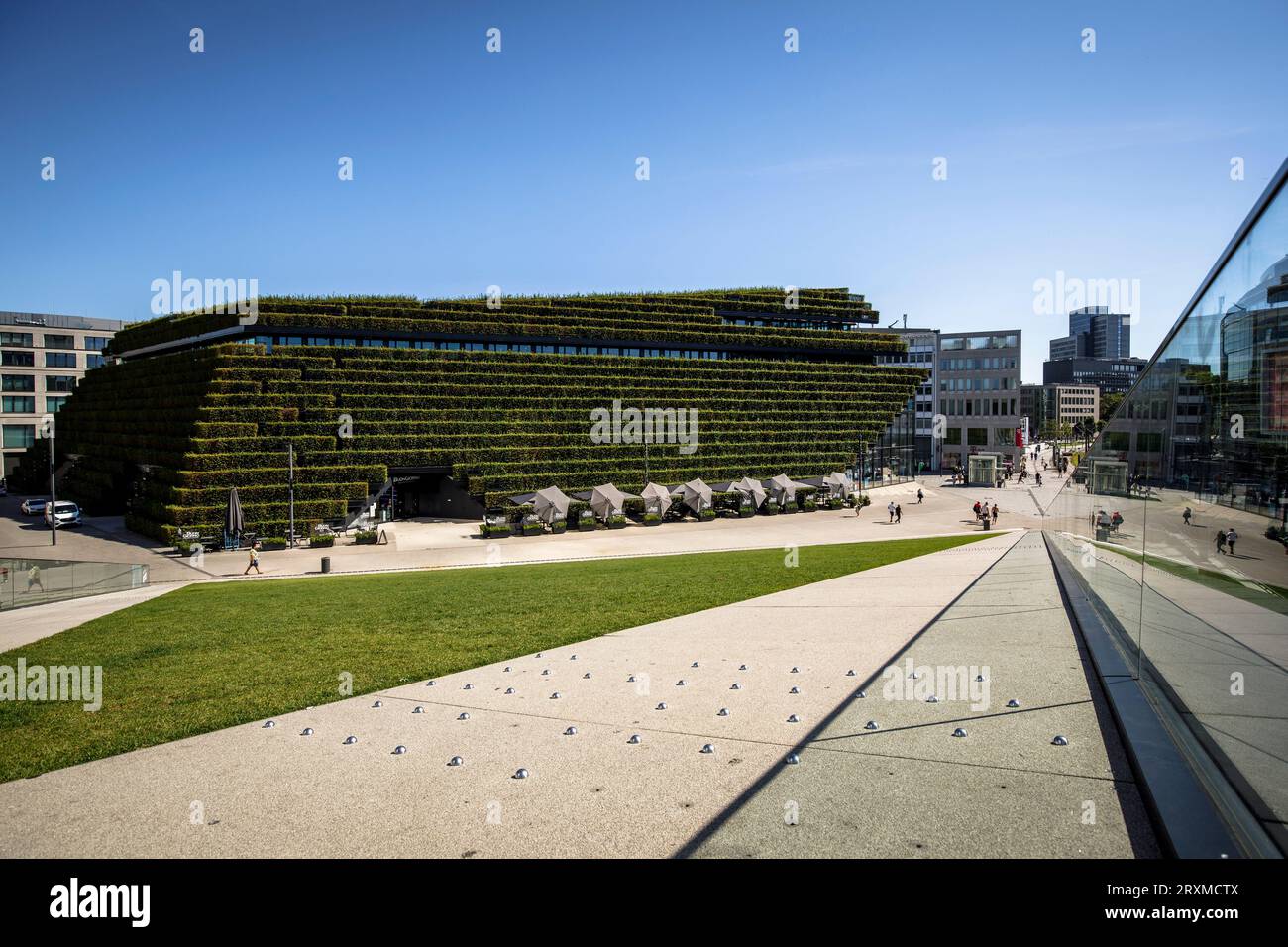 view from the walkable, green roof of the triangular pavilion to the Koe-Bogen II building with its green facade, Ingenhoven Valley, Gustaf-Gruendgens Stock Photo