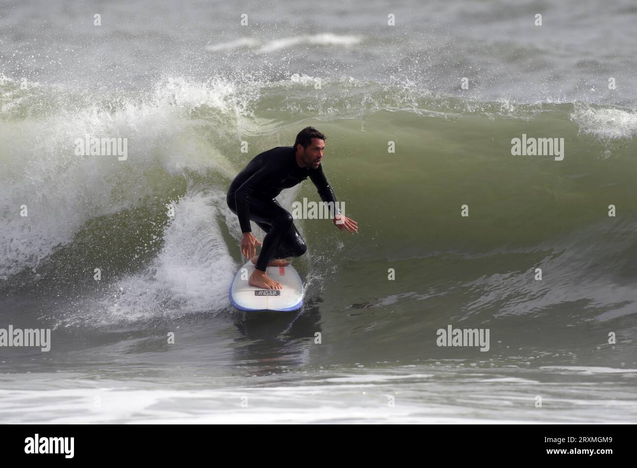 Lloyd Cole surfing on the Gower at Langland Bay Stock Photo