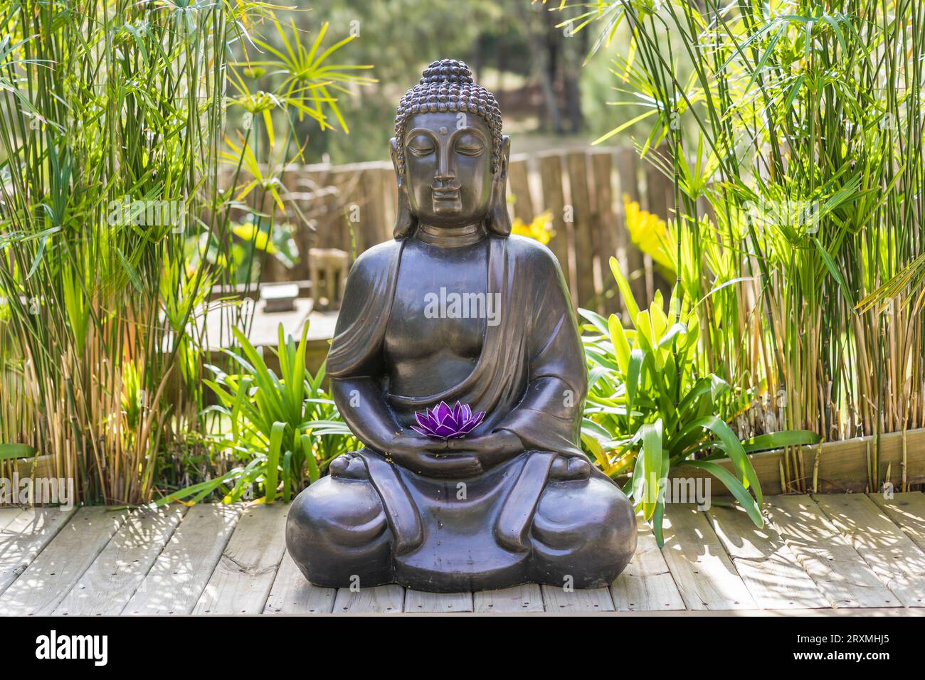 Meditating Buddha Statue with a purple lotus on his hands on a backyard