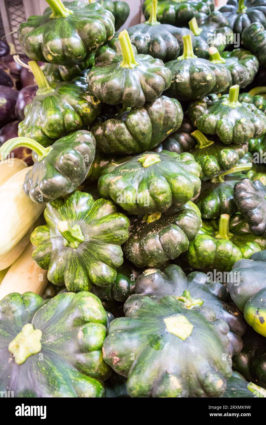 Green Pumpkins at a market Stock Photo - Alamy