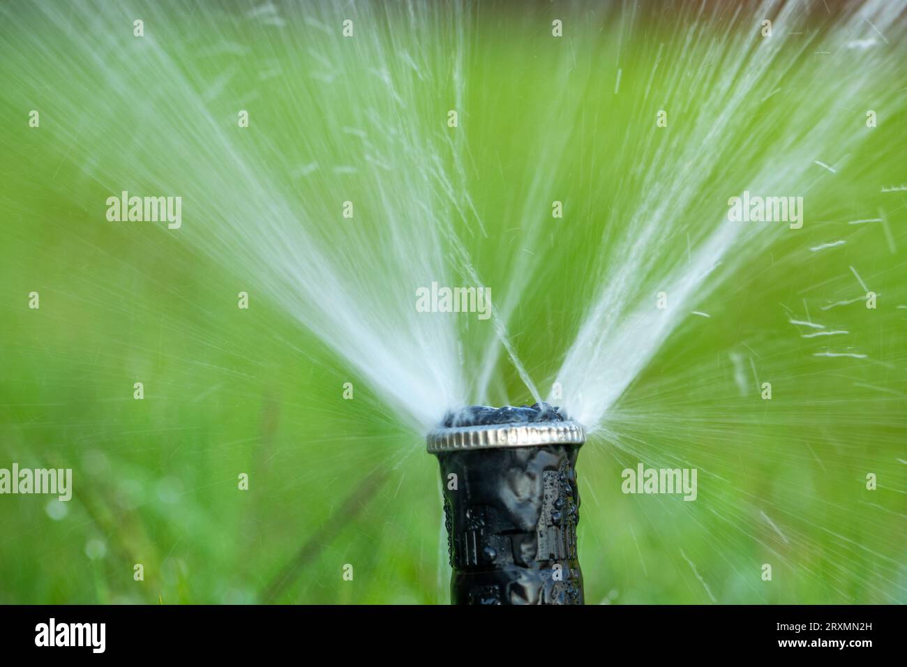 Efficient Oasis Automated Sprinkler Keeps the Lawn Vibrant Stock Photo
