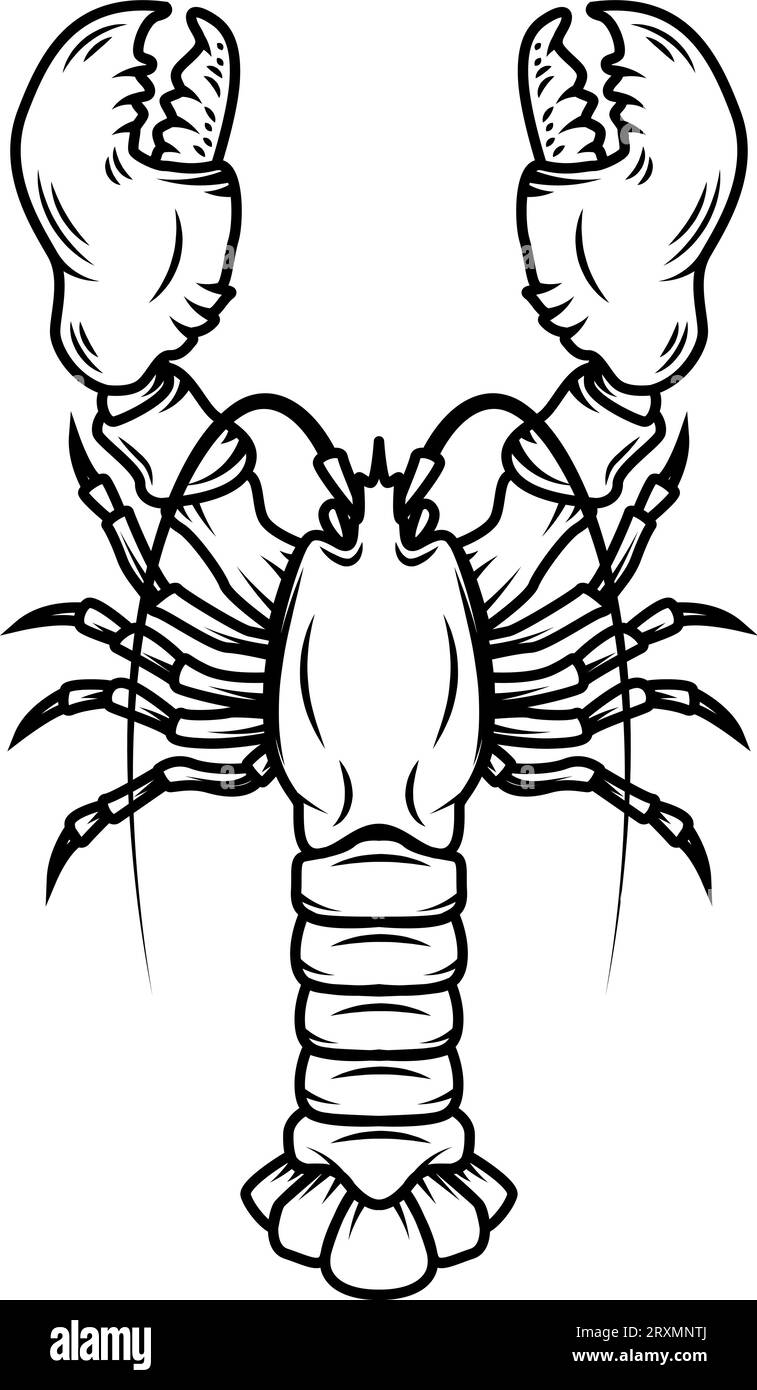Lobster. Vintage illustration of lobster. Seafood. For logo, label ...