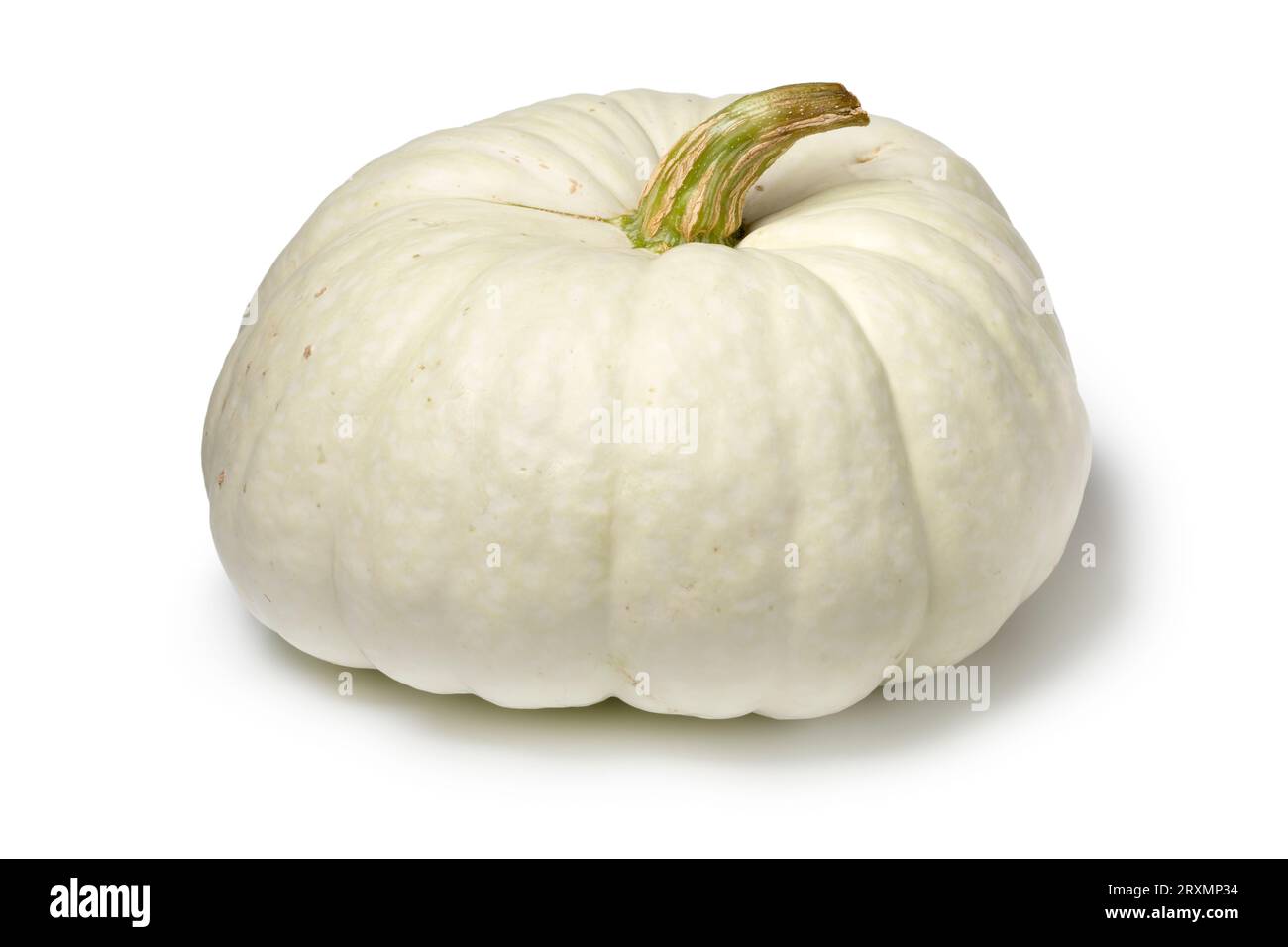 Single whole fresh Flat White Boer Pumpkin isolated on white background close up Stock Photo