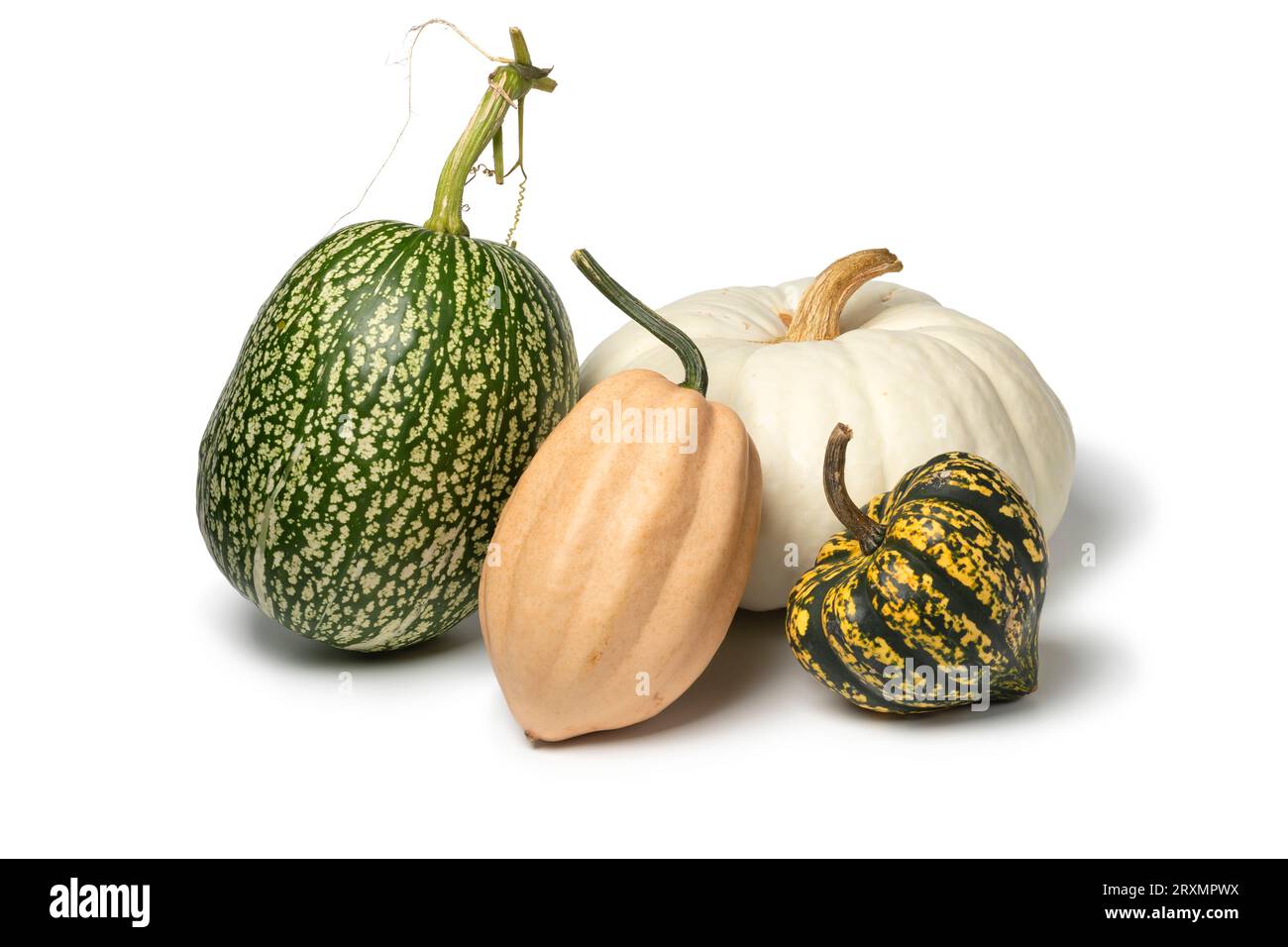 Variation of fresh raw edible pumpkins isolated on white background close up Stock Photo