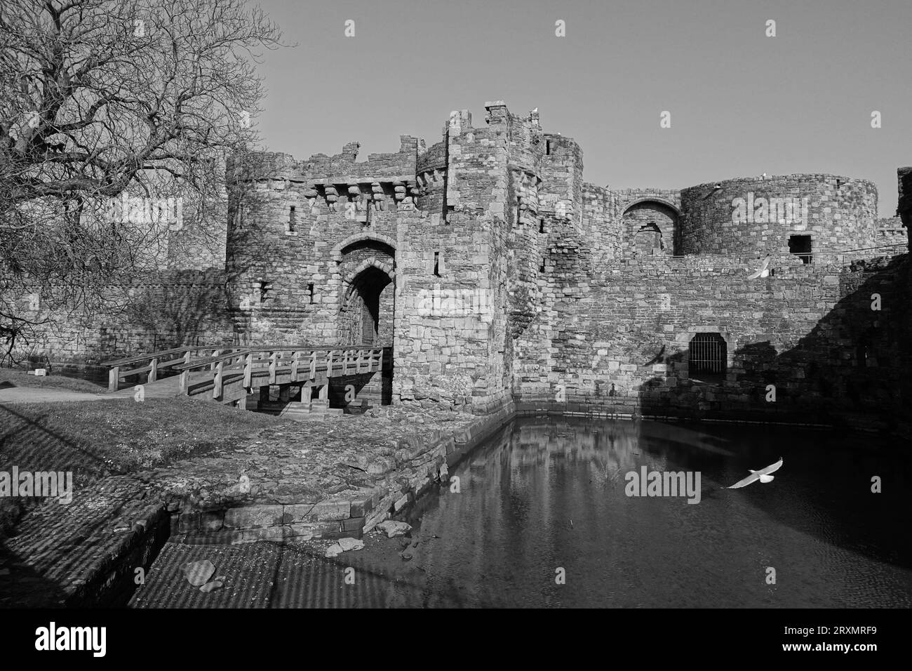 Beaumaris Castle Stock Photo