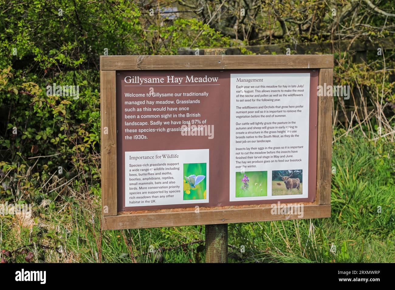 The Lost Gardens of Heligan, Pentewan, St.Austell, Cornwall, England, UK Stock Photo