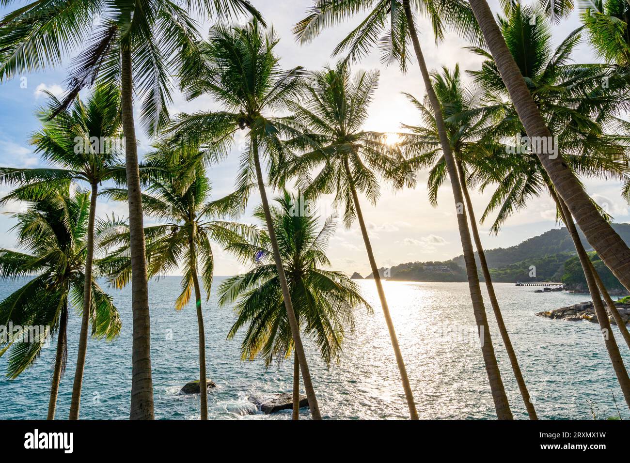 Landscape wide angle view coconut palm trees in sunset or sunrise sky over sea,Beautiful light nature seascape nature background Stock Photo