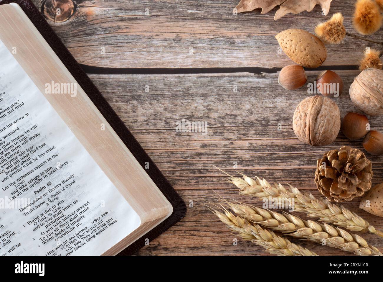 Wheat, nuts, and autumn leaves with open holy bible Psalm 65 on wood