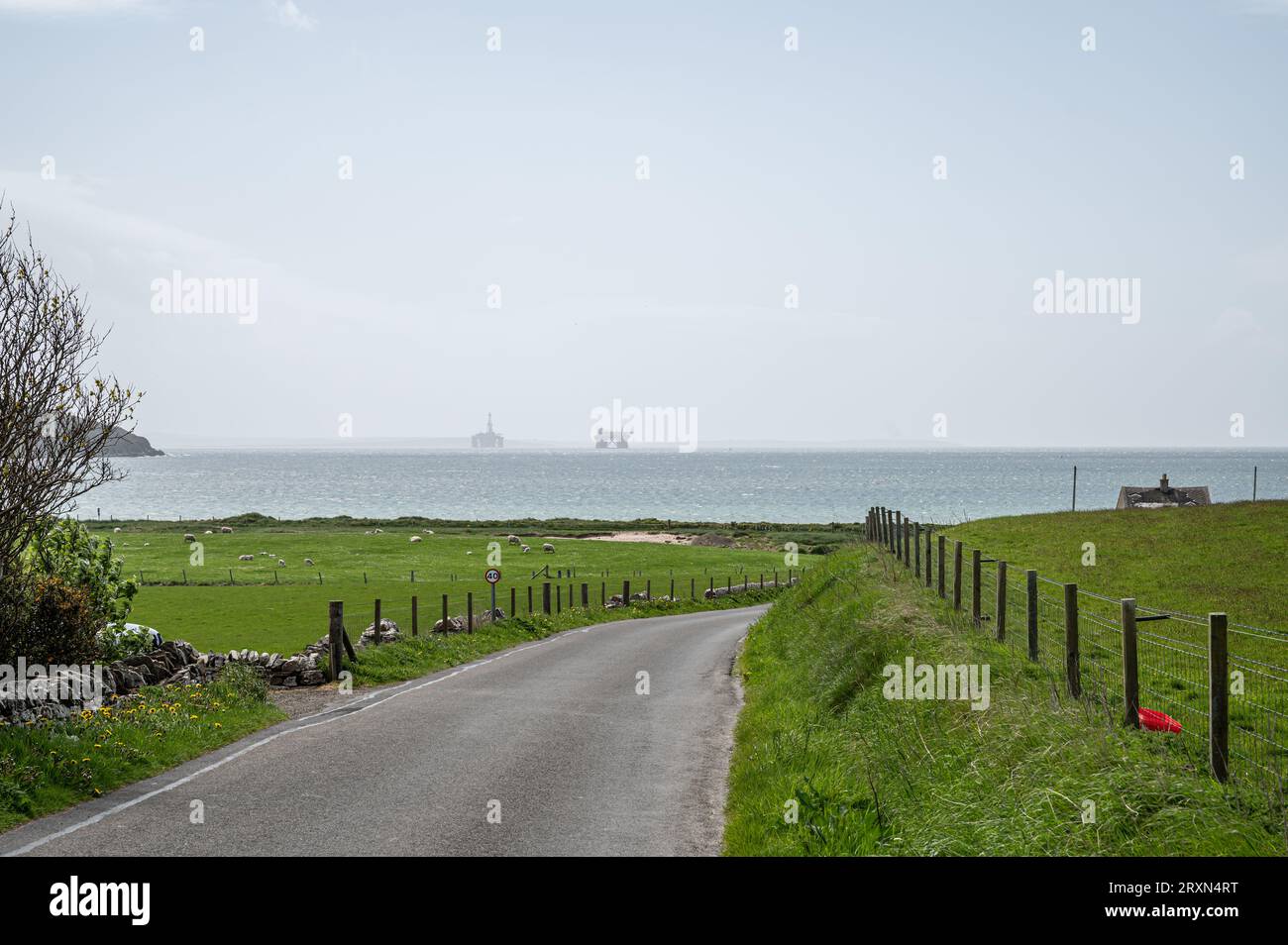 Sea view of Kirkwall with oil platform, meadow and sheep in front