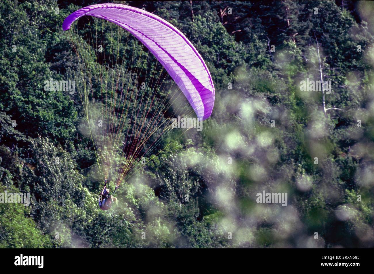 wind glider going down in the bush Stock Photo
