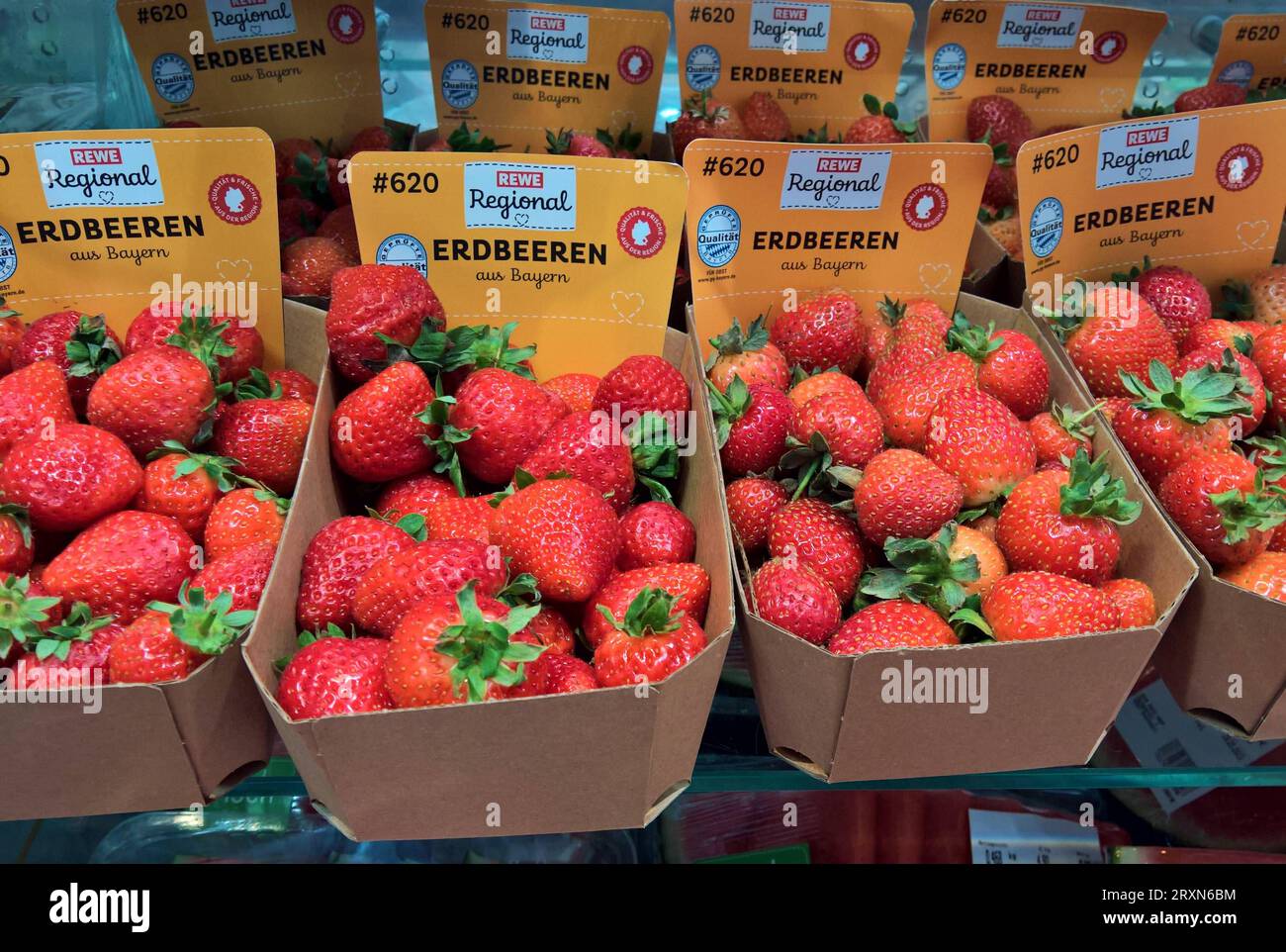 Rewe Regional, Erdbeeren aus Bayern im Supermarkt *** Rewe Regional ...