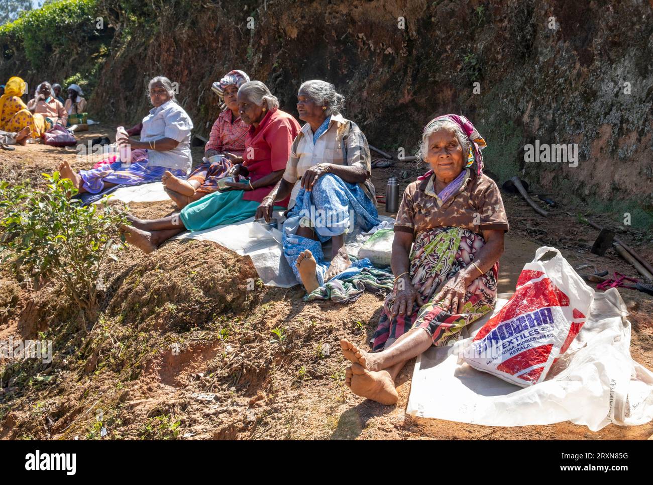 Tea pickers at break, Munnar, Kerala, India Stock Photo