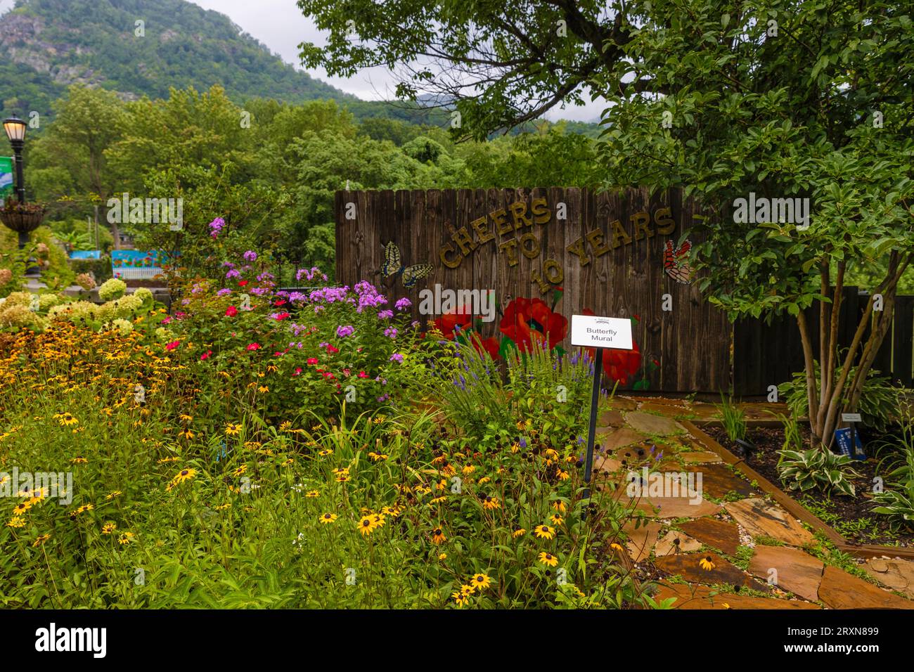Lure Lake, North Carolina, USA - August 11, 2023: The flowering bridge  is a volunteer community garden that is located on and at each end of decommis Stock Photo